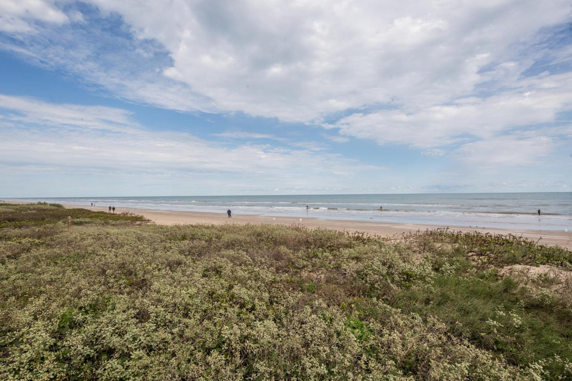 Ventura South Padre Island Quarto foto